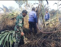 Babinsa Padamkan Api di Lahan Warga Dusun Sepunggur