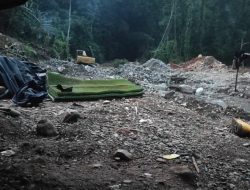 Peti Gunakan Alat Berat Tak Kunjung Sirna di Wilayah Bungo