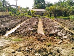 Polsek Muara Tabir Buka Lahan untuk Persiapan Ketahanan Pangan