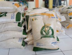 Pemerintah Kucurkan Bantuan Pangan Beras kepada 16 Juta KPM