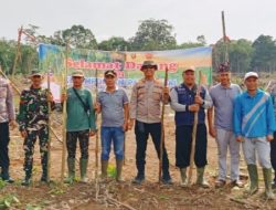 Kapolsek VII Koto Ikut Penanaman Jagung di Desa Aur Cino