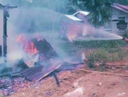 Diduga Korsleting Listrik, Rumah Warga di Perintis Jaya Ludes Terbakar