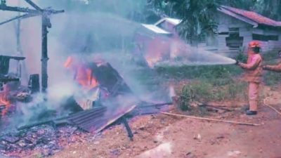 Diduga Korsleting Listrik, Rumah Warga di Perintis Jaya Ludes Terbakar