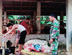Sambangi Ternak Sapi Warga Binaan, Ini Pesan Babinsa Sertu Wianto