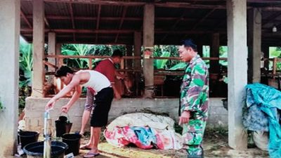 Sambangi Ternak Sapi Warga Binaan, Ini Pesan Babinsa Sertu Wianto