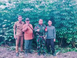Dukung Ketahanan Pangan, Babinsa Rex Harmodi Ajak Warga Tanam Singkong