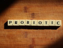 Peran Probiotik dalam Menjaga Kesehatan Pencernaan