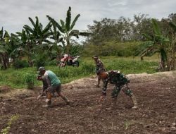 Dukung Ketahanan Pangan, Satgas TMMD dan Warga Siapkan Lahan Baru