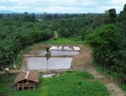Penampakan Kolam Ikan dan Kandang Ternak Kambing Hasil Karja Satgas TMMD
