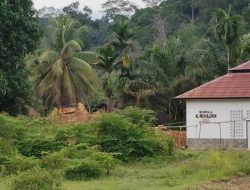 Alam Semakin Rusak, ZERO PETI Butuh Keseriusan Pemangku Kepetingan di Bungo Tercinta