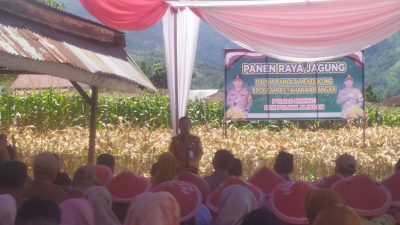 Bupati Kerinci Hadiri Panen Raya Jagung di Polsek Air Hangat
