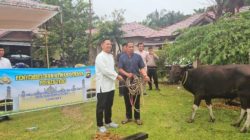 Polres Tebo Sembelih Hewan Kurban Sapi dan Kambing, Momen Idul Adha 1446 H