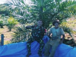 Babinsa Edi Suwanto Beri Motivasi Petani, Tanam Tumpang Sari di Kebun Sawit