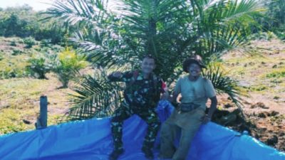 Babinsa Edi Suwanto Beri Motivasi Petani, Tanam Tumpang Sari di Kebun Sawit