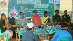 Babinsa Syaipul Efendi Dukung Tanam Jagung, untuk Ketahanan Pangan