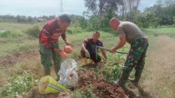Babinsa Wianto Memanen Ubi Rambat, Dibelakang Kompi Senapan B Yonif 142/KJ