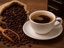 Eksplorasi Kopi Jambi: Cita Rasa Lokal yang Mendunia