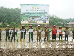 Sinergitas TNI dan Petani, Mantapkan Swasembada Pangan
