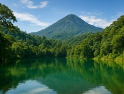 Inspirasi Akhir Pekan: 5 Destinasi Alam Tersembunyi di Jambi untuk Melepas Penat