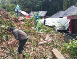 Palembayan Menangis di Tengah Reruntuhan: 60 Tewas, 69 Hilang, Ribuan Terisolir