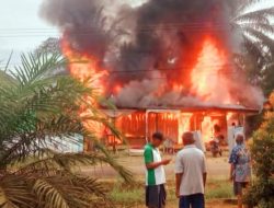 Rumah Warga di Rimbo Ulu Ludes Terbakar Akibat Api dari Tungku Masak