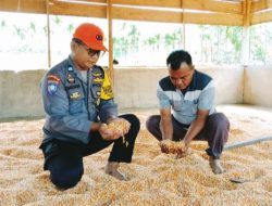 Aiptu Dadan Ajak Warga Tanam Jagung di Lahan Tidur Biar Bisa Jadi Produktif