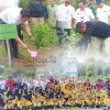 Tanam Pohon Serentak di SMP Alam Muara Bungo, Sekda Donny Sampaikan Pesan Jaga Lingkungan
