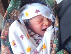 Warga Geger, Bayi Tanpa Identitas Ditemukan di Dalam Kardus di Tilatang Kamang