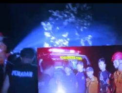 Kebakaran Lahan di Tebo, Damkar, BPBD, dan Manggala Agni Bersinergi Padamkan Api