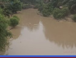 Sungai Alai di Tebo Keruh Bercampur Lumpur, Diduga Ada Aktivitas Ilegal
