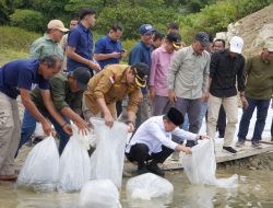 Al Haris Tinjau PLTA Danau Kerinci, Tebar 10.000 Benih Ikan