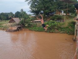 Anak-anak Dusun Mangun Jayo Masih Gemar Mandi di Sungai Batang Bungo