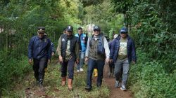 Tembus Jalur Ekstrem, Ariansyah Wakili Gubernur Jambi Panen Kopi di Kerinci