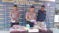 403 Gram Sabu dan Pil Ekstasi Disita, Polres Tebo Ringkus 36 Pelaku Narkoba