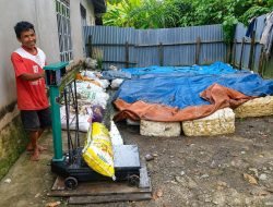 Harga Karet Menggeliat, Dapur Petani Semakin Ngebul