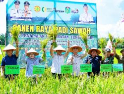 Panen Raya Padi di Penapalan, Wabup Nazar Dorong Kesejahteraan Petani