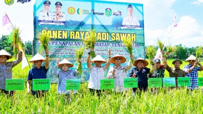 Panen Raya Padi di Penapalan, Wabup Nazar Dorong Kesejahteraan Petani