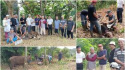 Potong 3 Sapi Kurban, Intip Kekompakan Warga RT 19 Jaya Setia di Hari Raya Idul Adha