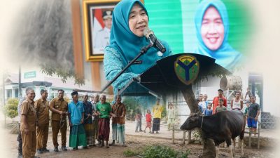Hj. Hesnidar Haris Serahkan Hewan Kurban untuk Masyarakat Batang Hari dan Muaro Jambi