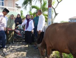 Hj. Hesti Haris bersama BKMT dan Posyandu Serahkan Hewan Kurban di Desa Tangkit dan Kelurahan Kasang