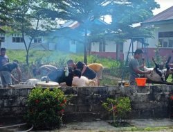 Semangat Kurban Menggema, Warga Karya Harapan Mukti Siapkan 45 Sapi dan 11 Kambing untuk Idul Adha 1447 H