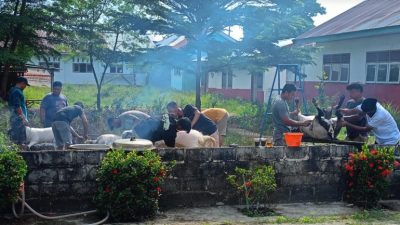 Semangat Kurban Menggema, Warga Karya Harapan Mukti Siapkan 45 Sapi dan 11 Kambing untuk Idul Adha 1447 H