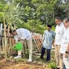 BPJS Ketenagakerjaan Muara Bungo Gelar Employee Volunteering Bertema Go Green di Sekolah Alam Muara Bungo