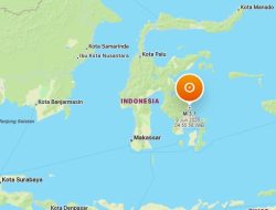 Gempa Magnitudo 3,7 Guncang Konawe Utara, BMKG Imbau Warga Waspada Gempa Susulan