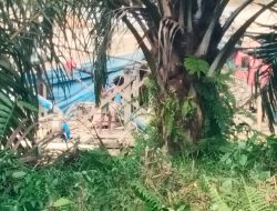 Jalan Aspal di Koto Jayo Terancam Rusak, Aktivitas Dompeng Beroperasi Dekat Badan Jalan