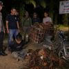 Komplotan Pencuri Sawit yang Resahkan Warga Tebo Akhirnya Ditangkap