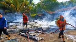 Rumah Warga di Perintis Rimbo Bujang Ludes Terbakar, Diduga Akibat Korsleting Listrik