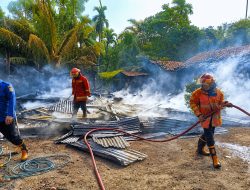 Rumah Warga di Perintis Rimbo Bujang Ludes Terbakar, Diduga Akibat Korsleting Listrik