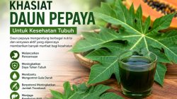 Khasiat Daun Pepaya untuk Kesehatan: Dari Menjaga Pencernaan hingga Meningkatkan Daya Tahan Tubuh