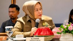 Elviana Minta Pemerintah Legalkan Tambang Emas Rakyat: Jangan Biarkan Warga Hidup di Atas Emas tapi Tetap Miskin